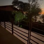 Claudia Albertario Instagram - ᴬˡᵍᵘⁿᵃˢ ᵈᵉ ᶜᵒˢᵗᵃ ʳⁱᶜᵃ 🇨🇷🤙 #familytime #SantaTeresaCR #CostaRica #puravida #ParaísoTropical #NaturalezaCostarricense #VidaPlayera