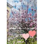 Claudia Galanti Instagram – 21/03/2021💕 #indilacarolina