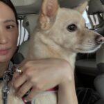 Claudia Kim Instagram - wherever I go, she follows 🐕