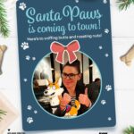 Clea DuVall Instagram - Not one but TWO special holiday episodes of @housebrokenfox are airing back to back tomorrow (Sunday 12/4) at 8:30 on @foxtv!! Tune in! 🎄🐩🎄🐩🎄🐩🎄