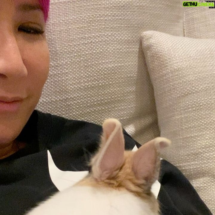 CoCo Lee - 3.6K Likes - I couldn’t believe he gave me a kiss!!!!!!🐰🐰😘#bunny #kisses #minirabbits
