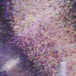 CoCo Lee Instagram – One of my favourite moments at my concert! Totally craziness n joy… All of our hearts were connected….. #happiness #myfans #loveuforever #encore #lovewons #cocolee #bestfansintheworld  #you&Iconcert