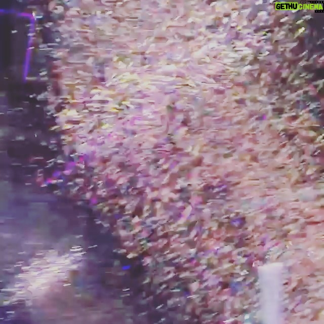 CoCo Lee Instagram - One of my favourite moments at my concert! Totally craziness n joy... All of our hearts were connected..... #happiness #myfans #loveuforever #encore #lovewons #cocolee #bestfansintheworld #you&Iconcert