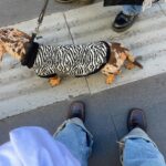 Coco Rebecca Edogamhe Instagram - Negli scorsi giorni sono stata meno attiva del solito , perché ho notato che avevo bisogno di prendere un po’ le distanze e che non avevo tante cose da dire, da comunicare o da far vedere. Sono state settimane intense e continueranno ad esserlo, sia per quello che sta succedendo nel mondo, nel nostro paese e nella quotidianità. Una lavatrice di eccitazione, gratitudine, tristezza, rabbia, dolore, dolore, paura, felicità e per metabolizzare tutto è giusto distaccarsi un attimo ❤️‍🩹🫂