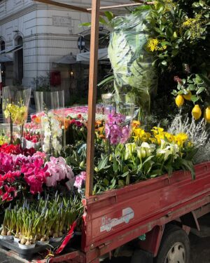 Coco Rebecca Edogamhe Instagram - 🌸🪻🌷💐𝒮𝓅𝓇𝒾𝓃𝑔 𝒾𝓃 ℛ𝑜𝓂𝑒🌹🌺🌼💐