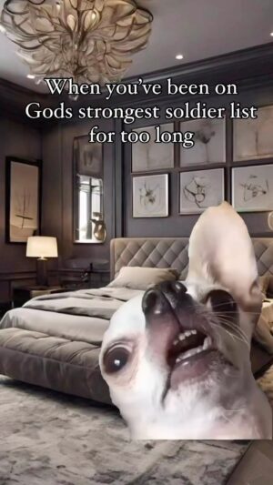 Cocoa Brown Instagram - All I know is I'm a five star general in the Lords Army and I will be addressed accordingly and my child is a first lieutenant don't play with me. We've been through the battle and we've come out alive. ❤️💯😂❤️#whatwasmeanttohurtmemakesmestronger  #strongerforit #onedayatatime #throughthefire #literally #phoenix #risinglikeaphoenix #mymuse