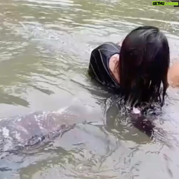 Cocoa Brown - 625 Likes - The minute you see a video that theyโre making content in the Amazon where they donโt even have running water, but they have apparently a gimbal and a phone๐ฎthereโs no excuses at this point. Itโs all Hollywood cares about anyway so let me just go ahead and make some silly content and post until I canโt post no moreโฆ. how about that? #welp #noexcuses #contentcreators #bewinning #hollywood #belurking #castthis #audition #forwhat #lookwhaticando #filming #everything