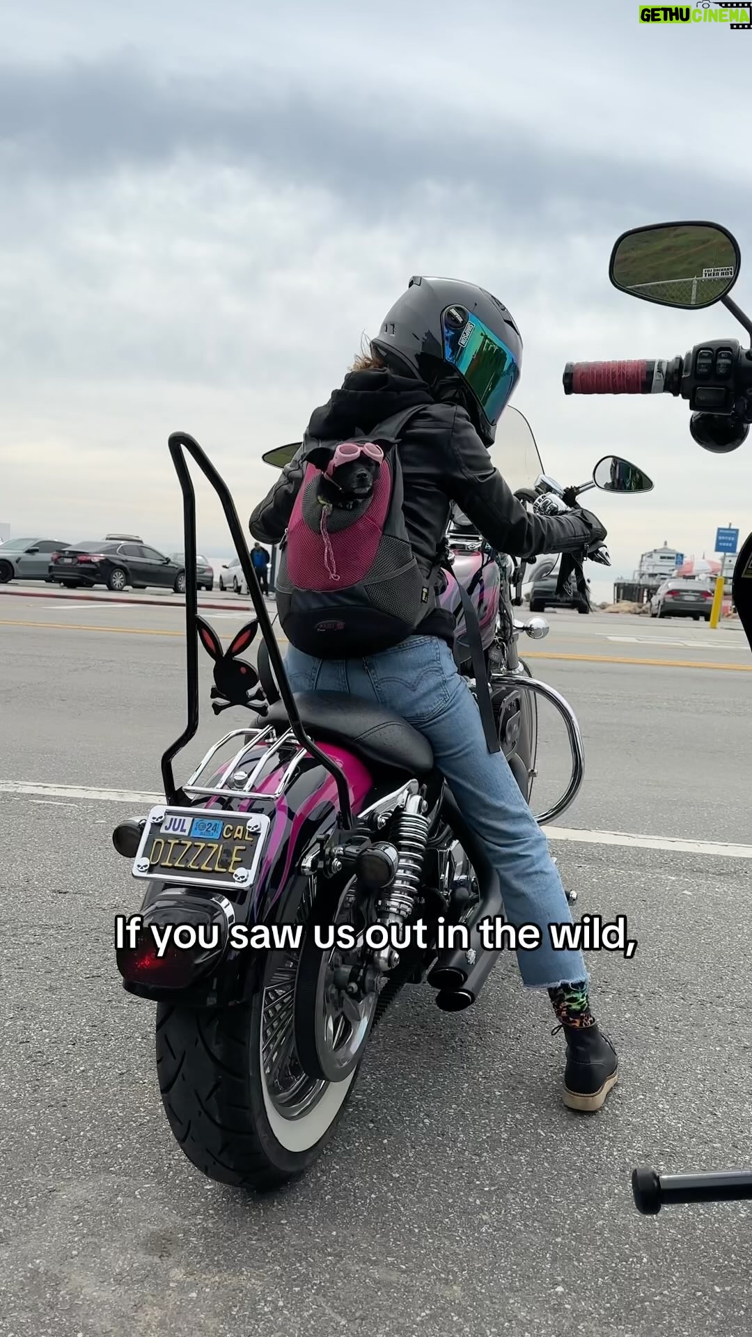 Cody Renee Cameron - 15.4K Likes - Hi 👋 Don’t be rude, say it back! 🤩
Follow @ironponyshow for more doggo motorcycle adventures! 🐶 🏍️⚡️
Vid cred @jigger.la
#motorcycledogs #bikerdogs #dogsofinstagram #dogsonbikes #doggles #dogsinbags #malibu
