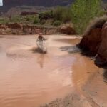 Cody Renee Cameron Instagram – Water, sand, dirt, mud, gravel, up, down, and all around! Had a blast exploring Moab on 2 wheels this weekend at @thedustylizard adventure bike camp out!

Bike: @live100moto 
Event: @thedustylizard 
Host: @moskomoto 

Huge shoutout to @moskopete for creating an incredible event, @eat_sleep_moto_beer for coordinating, @live100moto for the bike rental, @_brandi_moya for inviting me, & @killaahhhh for being my ride or die trail goblin! 

Also thank you to the entire staff, catering, & all the attendees who shared advice, stories, & their energy with me ❤️⚡️This was one for the books! #dustylizard