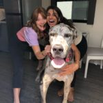 Colby Minifie Instagram - @theboystv finale is out and here is your weekly supply of random bts pics with these clowns including: a dress that didn’t make the cut for obvious reasons: Claudia with evidence of me spitting rotten sunflower seeds out the window of my car: my own hair I accidentally ripped out: and some of the set dogs that keep us alive—Raven, George and Minnie2. Binge it now my friends!!! It’s wild