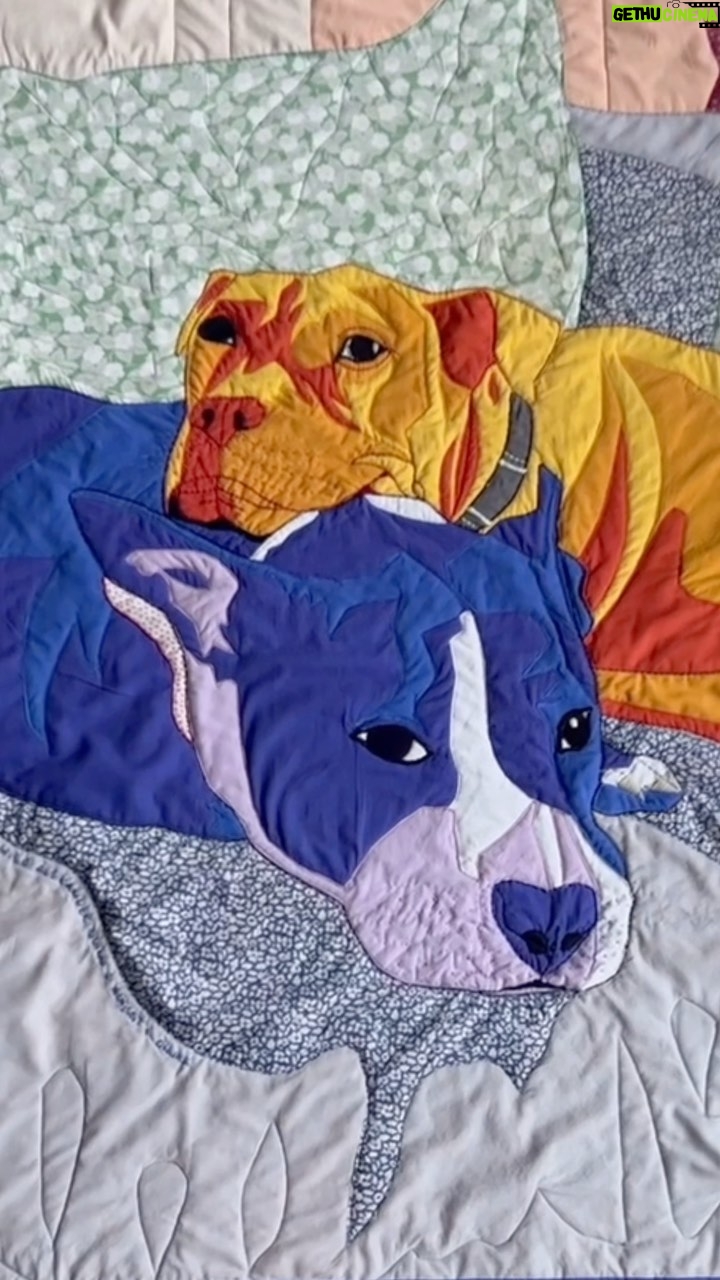 Colby Minifie Instagram - My friends Caitlin and Alex issued a new life into the world early this morning and to congratulate them, I made this baby quilt of their dogs August and Oinks. I am terrible at recording my process for these quilts, but it’s mainly because it’s a slow meditation on the people I make them for and also cause I don’t have 3 hands. I loved making this for them and I can’t wait to meet their little guy!!!! 🪡🧵🐾👶🏻 @mickiewicz @cpq_bk ❤️ . . I got the materials from @purlsoho and @keatonquilts. Not an ad, just trying to keep a good thing going!