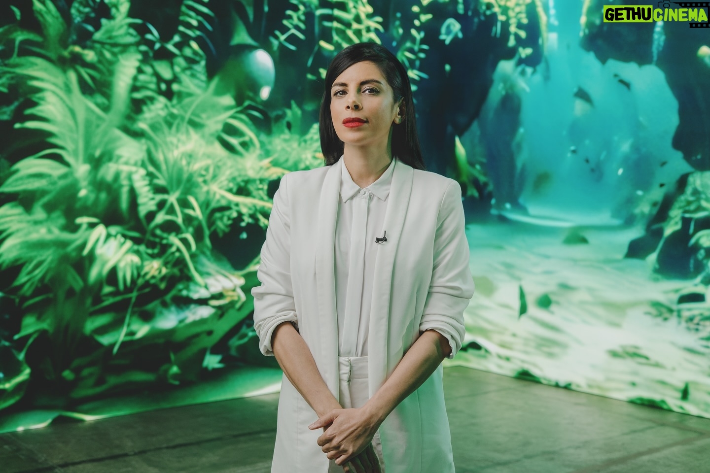 Collien Ulmen-Fernandes Instagram - Es ist beeindruckend und beängstigend zugleich, wozu Generative KI in der Filmbranche mittlerweile in der Lage ist. Nicolas Cage (Zitat: „KI ist die Pest“) kämpft im Film gegen eine Riesenspinne, obwohl er nie eine solche Szene gedreht hat. Sie wurde, ohne sein Wissen, im Nachhinein künstlich generiert. Künftig müssen Schauspielende gar nicht mehr selbst am Set erscheinen, sondern können ihre digitalen Avatare für sich arbeiten lassen. Aber wollen wir das? Zeit, jetzt die Regeln festzulegen: DAS KI-MANIFEST (ZDF) Eine Sendung über Generative KI. Moderiert von mir. Für alle, die sie letzte Woche im TV verpasst haben: Link in Bio ⬆️