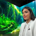 Collien Ulmen-Fernandes Instagram - Unter Wasser ohne nass zu werden. Bei der Moderation für eine ZDF-Sendung. Im virtuellen LED-Studio-Aquarium. #💦🐠🐟🪼💦🤗