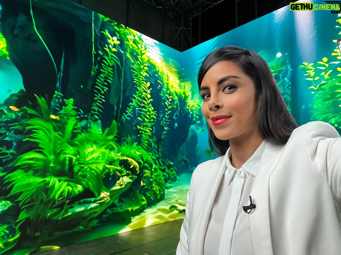 Collien Ulmen-Fernandes Instagram - Unter Wasser ohne nass zu werden. Bei der Moderation fΓΌr eine ZDF-Sendung. Im virtuellen LED-Studio-Aquarium. #π¦π ππͺΌπ¦π€