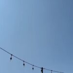 Conor Leslie Instagram - June Playlist: 1. Juno discovers ocean air for the first time 2. Roo returns to his Happy Place: the beach 3. Sounds from childhood 4. When New York looked like the set of Blade Runner 5. Zoinks 6. Sorry to get this stuck in your head for the rest of your day/night 7. I only own “funbrellas” 8. If my brain had a title 9. The night I ate 5 slices of pizza 10. 1:57 pm scribbles