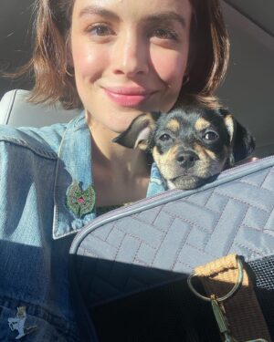 Conor Leslie Instagram - Things I did in September:
•took the mercury retrograde time to review things and get clear on *a lot* 
•bought a landline (if you’re a Gen Z kid I’ll let you Google what that is.) but it’s kept me off my cell phone aka “tiny addictive digital tablet” while I’m at home. Cell phones were meant for going out after all. Not for sitting on your couch scrolling but I’ll rant about that another time. 
• oh: and I adopted Roo a sister while at a comic con in Salt Lake City. True story. 

Shoutout to @ruffpatchrescue for everything they do and for bringing this little girl into my life, unexpectedly but kismet-ly. 

Her name is Juno. 
I intuited Roo wanted a buddy about a month ago. Juno ticked all the boxes Roo needed in a sister. 
She traveled in a car, on a plane and back to NYC to meet her big bro. 

And as the last few slides prove: I was correct.  This was them on Day 1 together💞

Highly recommend : reflection, landlines, and adopting dogs. 

Let’s see what October has in store 🧡