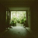 Conor Leslie Instagram - I just like how green this photo is. That’s all. Seen through the gate to an apartment courtyard in Paris. It’s green from the light bouncing off the plants into the little tunnel and green from the way the film developed. Which is why film is still the best natural “filter effect” out there. paris • may 2023 • 35mm 🌱