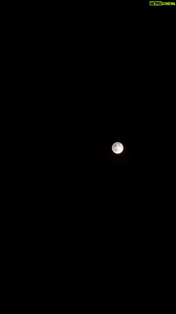 Conor Leslie Instagram - All of us & The “Strawberry” full Moon last night, just separated by a couple clouds and 238,855 miles. On our pale blue dot. Happy Sunday, make sure to look up today🩵
