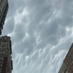 Conor Leslie Instagram - just a little bit of july: 1. Before I overheated in a New York apartment that didn’t have AC 🛸 2. One of my favorite sounds / specifically as a familiar New York City soundtrack. 3. Where roo’s name comes from 4. Mammatus clouds😍?! 5. It really does. Try it sometime. 6. Cuz it Feels 🦆ing great 7. @whatsrooandjunoupto 8. this is pure. 9. friends make me smile big big. 10. Howl often.