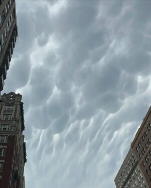 Conor Leslie Instagram - just a little bit of july:

1. Before I overheated in a New York apartment that didn’t have AC 🛸

2. One of my favorite sounds / specifically as a familiar New York City soundtrack. 

3. Where roo’s name comes from 

4. Mammatus clouds😍?!

5. It really does. Try it sometime.

6. Cuz it Feels 🦆ing great 

7. @whatsrooandjunoupto 

8. this is pure. 

9. friends make me smile big big.

10. Howl often.