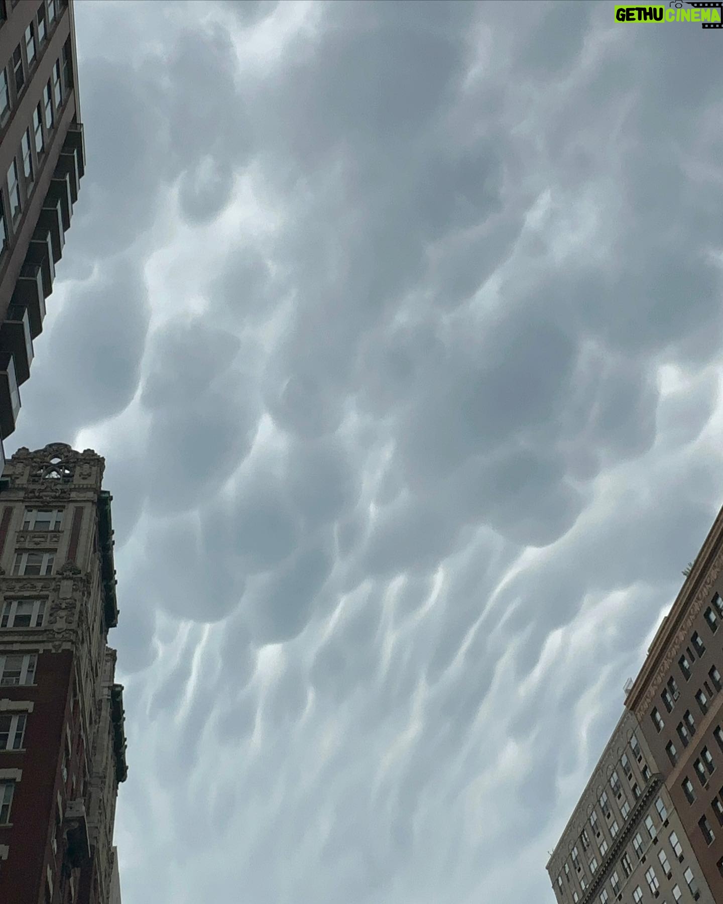 Conor Leslie - 30.5K Likes - just a little bit of july:
1. Before I overheated in a New York apartment that didnât have AC đ¸
2. One of my favorite sounds / specifically as a familiar New York City soundtrack.
3. Where rooâs name comes from
4. Mammatus cloudsđ?!
5. It really does. Try it sometime.
6. Cuz it Feels đŚing great
7. @whatsrooandjunoupto
8. this is pure.
9. friends make me smile big big.
10. Howl often.