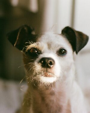 Conor Leslie Instagram - film grain makes the memories captured feel soft. 

And remaining soft is an important and sometimes difficult thing in this world. 

have a gentle monday everyone 🤍 

home • september 2023 • Kodak portra 400