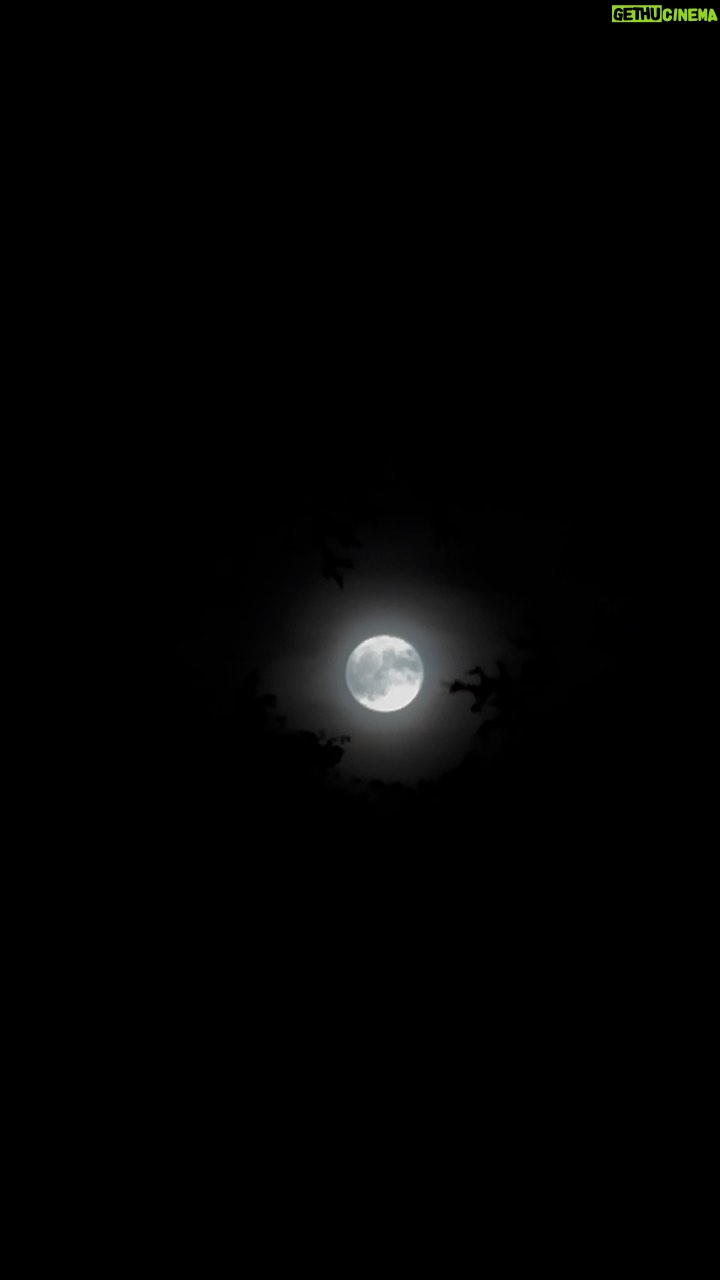 Conor Leslie Instagram - The temptation to add the song “Blue Moon” to this video of the “Super Blue Moon” tonight is obviously tempting. But. To be able to hear the wind (which was almost too epically on brand for a full moon energy tonight), the people laughing, crickets, and dogs barking in the New York City background… is a gift. And it felt weirdly disrespectful to edit it. It’s silly enough that we try to capture the moon on our phones, but here we are and here I am too, still in awe from a far. Goodnight 🩵🌕