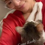 Constance Marie Instagram – Guess we’re starting early….
✨💕✨
#Caturday #Cinco #RescueCat #SweetDreams #NiteNite #goodnight #Kitty #CatsOfInstagram