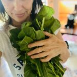 Constance Zimmer Instagram - Happily harvested heaps of Arugula!! Look at the size of these leaves!! Truly impressed with @lettucegrow! #notanad #tuesday