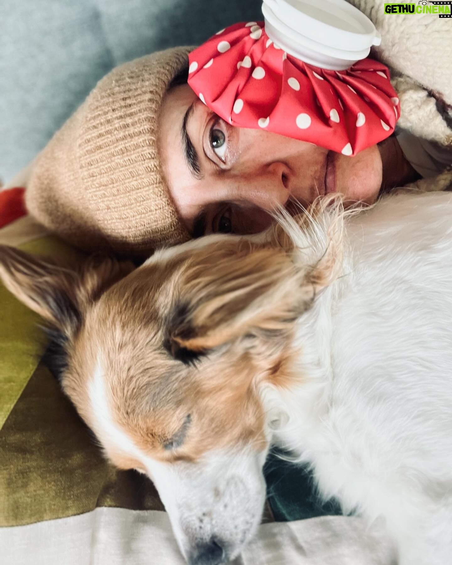 Constance Zimmer - 1.4K Likes - Thank you for all the well wishes. It wasnāt an accident or a bar fight thankfully, I guess I shouldāve made that more clear, but I was a little drugged up at the time. It was a planned dental surgery, which has me icing my face and laying low with my emotional support animal. #saturday