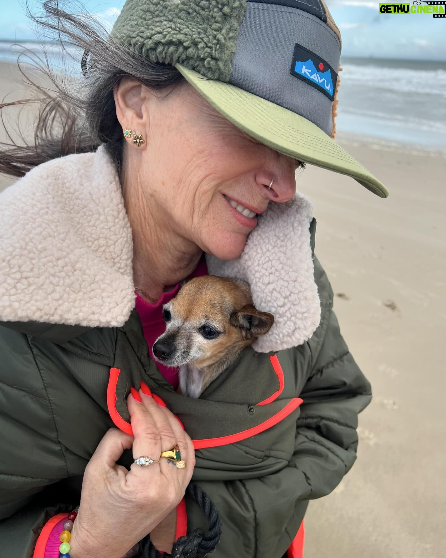Constance Zimmer Instagram - #TGIF Sometimes you have to run on the beach with a good friend and let the cold wind whip through your hair to feel alive again! Thank you @welcometoheidi for the invite and showing me around #montecito and #santabarbara. You’re the best! #funkzone