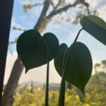 Constance Zimmer Instagram - Happy Valentine’s Day. Show yourself love today and everyday, you deserve it. Treat yourself with kindness. Don’t be so hard on yourself, there are enough people in the world who will do that for you. We shouldn’t need a specific calendar day to show love and appreciation for someone or everyone in our lives. Take this day as a reminder to look for and share love DAILY, it’s all around you, you just have to keep your eyes open. Share it when you can because you never know who you might make smile. #foundheart #leadwithlove