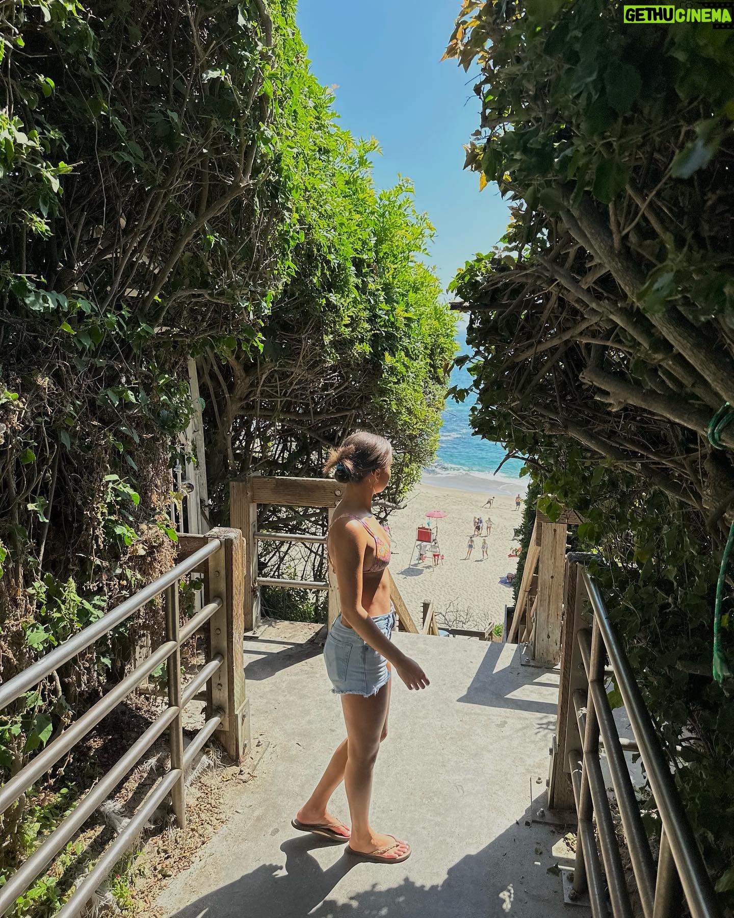 Corinne Massiah - 14.8K Likes - follow me !!🌴🌊🥥🌿🌸