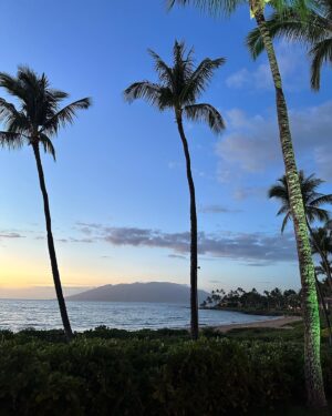 Corinne Massiah Instagram - aloha from maui🪸