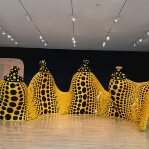 Cosondra Sjostrom Instagram - “Dots are symbols of the world, the cosmos. The Earth is a dot, the moon, sun, the stars are all made up of dots. You and me, we are dots.” — Yayoi Kusama

The beauty of Yayoi Kusama’s art lies in imagining yourself as a tiny speck within a vast whole- seemingly insignificant, yet full of meaning. You can lose yourself in the endless sea of dots, much like you can lose yourself in the world, in love, imagination, theory, and thought. But more importantly- you can find yourself within the dots… in the beauty of the small dots of life: the moments, the feelings, the memories. So, enjoy the dots - lose and find yourself. 💫 We are all just trying to connect the dots! 🤍