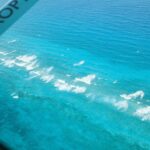 Courtney Eaton Instagram - Shark bait