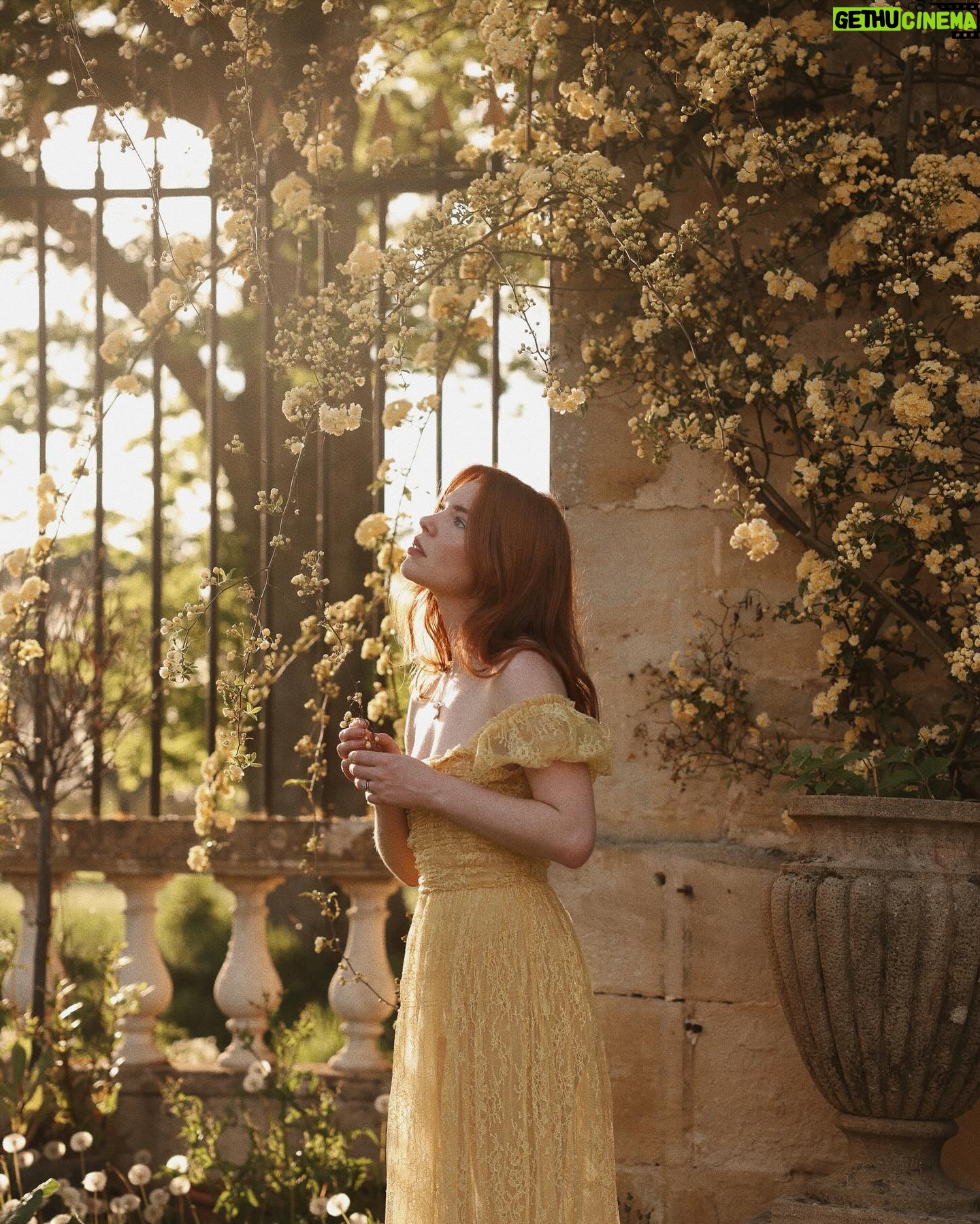 Courtney Halverson Instagram - Meet me under the flowers 🌿 We’ll whisper secrets that only the bees will hear, we’ll decorate our hair with flowers, and cover our shoulders in fallen petals, we’ll talk of spring and longer days, and let a lazy afternoon fade softly into sunset as the bees trade places with fireflies. a little ode to spring that I wrote . . . . #romanticstyle #flowercovered #feminineenergy #gardenoftime #metgala2024 #lestyleàlafrançaise wearing a yellow lace dress from @shopdoen at @chateau_marcellus