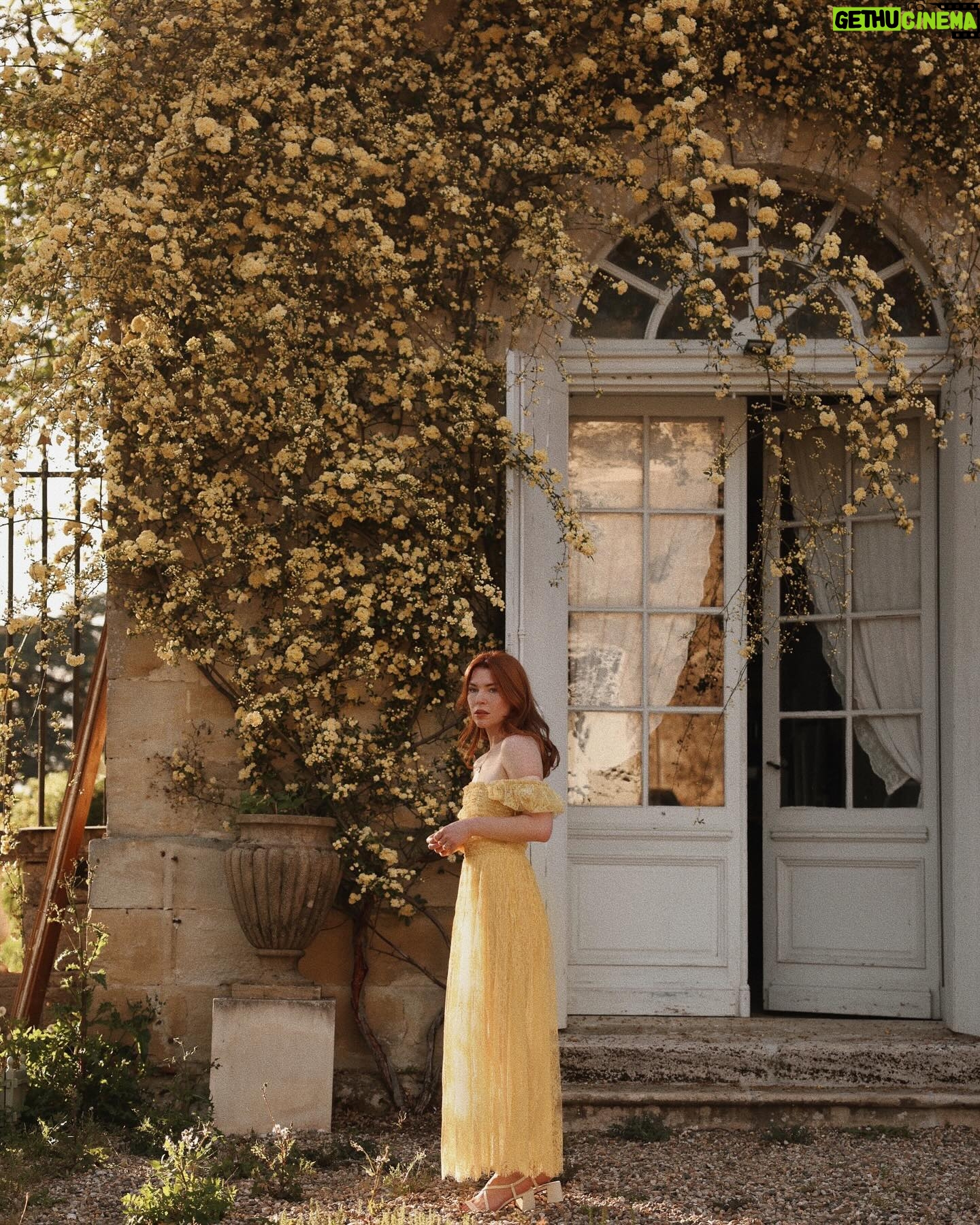 Courtney Halverson Instagram - Meet me under the flowers 🌿 We’ll whisper secrets that only the bees will hear, we’ll decorate our hair with flowers, and cover our shoulders in fallen petals, we’ll talk of spring and longer days, and let a lazy afternoon fade softly into sunset as the bees trade places with fireflies. a little ode to spring that I wrote . . . . #romanticstyle #flowercovered #feminineenergy #gardenoftime #metgala2024 #lestyleà lafrançaise wearing a yellow lace dress from @shopdoen at @chateau_marcellus