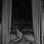 Courtney Halverson Instagram - I am living permanently in my dream, from which I make brief forays into reality. 🗝️ And this scene feels entirely out of a dream - or maybe a book or a movie? Is there one that comes to mind for you? For me, it reminds just a little bit of the Secret Garden or maybe A Little Princess, but that may be because I was raised on both of those films. Another series from this dreamy bedroom in @ashfordcastle in which I very much did not wish to return to reality. . . . quote by Ingmar Bergman . . #romanticstyle #feminineenergy #portraitmood #vintagevibes