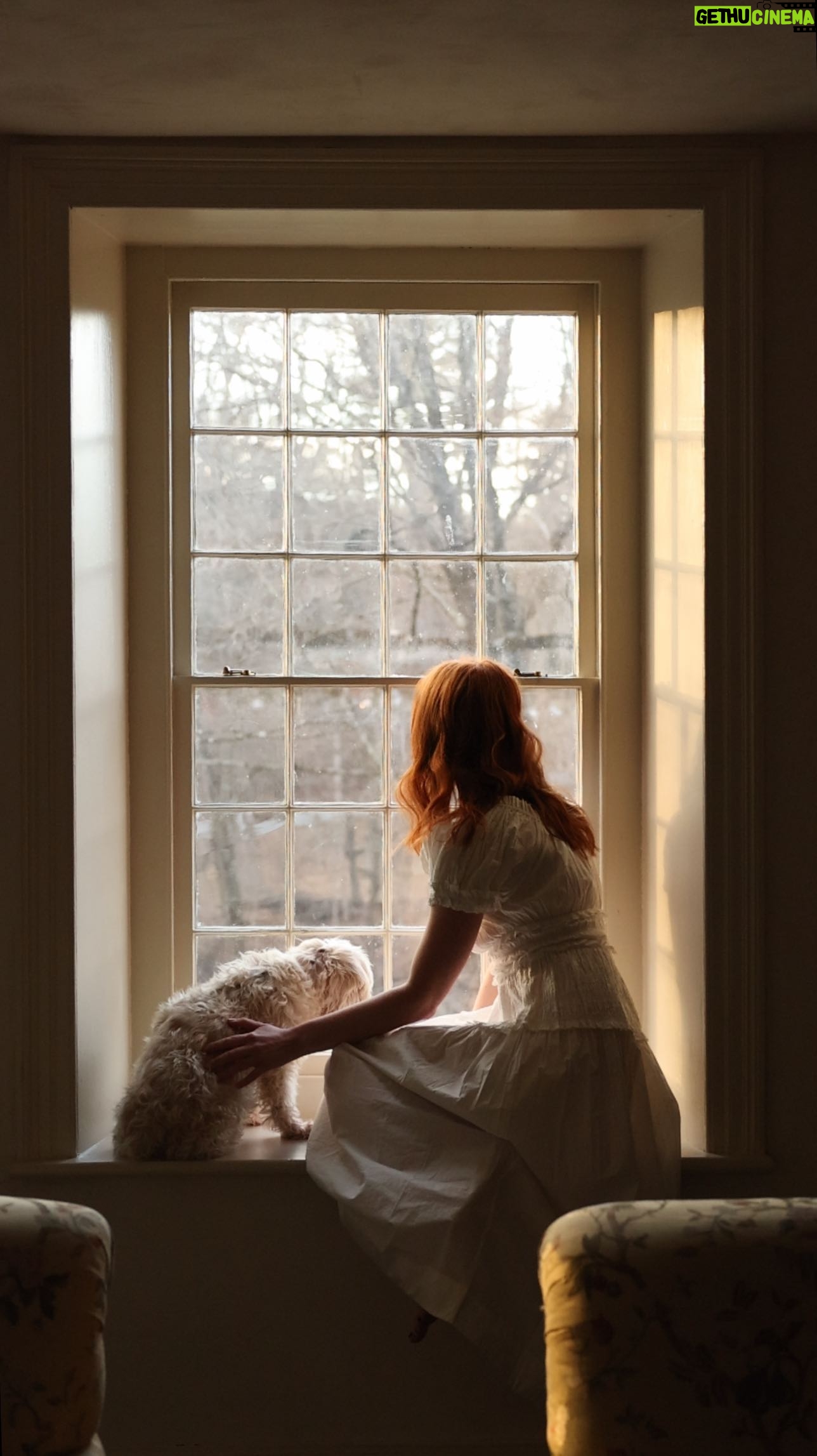 Courtney Halverson Instagram - If you are very very lucky in this lifetime, you’ll get to know and love a senior pet, and learn that there is no greater love than that of a little frosted face friend. 🐶 15 1/2 years by my side and still counting - oh Mops, I love you. Have you been lucky enough to know the love of a senior pet? . . . #seniordogsofinstagram #romanticstyle #cinematicmoment #seniordog #ohmops