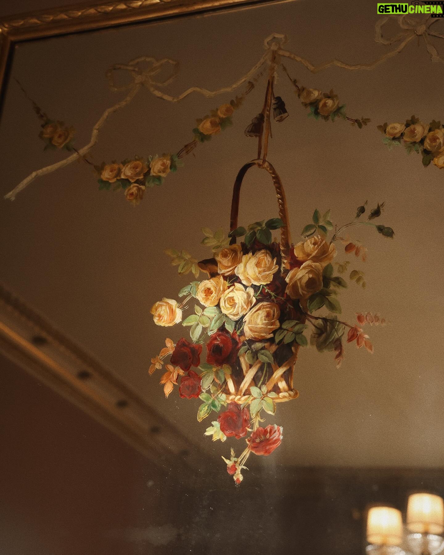 Courtney Halverson Instagram - I am forever in awe of beautiful old things - antiques, vintage clothing, and especially architecture from bygone eras. I think it’s because it reminds me that there is a connecting thread throughout the years, reminding me that so many other have walked where I walk, have held the same objects, even worn the same clothing. And here I am, all these years later, standing in awe of the beauty of a space that was once brand new. A space that someone had ceilings carved for and paint chosen and created a space that hundreds of years later leaves me in awe. The beauty of a space that not only endures but transports me through time - like this gorgeous room where I was lucky enough to have tea while in Ireland. It’s less than an hour from Dublin at the gorgeous @cartonhouse.fairmont, and feels just a bit like stepping back in time. Would you have tea in this space? And if so, would you like one lump of sugar or two? 🫖 . . . #romanticstyle #cinematicmoments #feminineenergy #vintagevibes @fairmonthotels