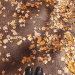 Courtney Hope Instagram – Portland: you were spooky, serene and soul enriching 🍁

Also: comment when you see it 👴🏼🌳😍 #thewisdomtree