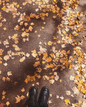 Courtney Hope Instagram - Portland: you were spooky, serene and soul enriching 🍁

Also: comment when you see it 👴🏼🌳😍 #thewisdomtree