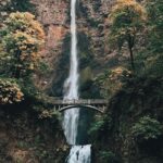 Courtney Hope Instagram – Portland: you were spooky, serene and soul enriching 🍁

Also: comment when you see it 👴🏼🌳😍 #thewisdomtree