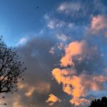 Courtney Hope Instagram – A month of love, replenishment and radical acceptance 🫶🏼