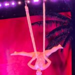 Courtney Kemp Agboh Instagram - Oh my Lord @pink was just amazing last night. Soaring through the air upside down, singing her heart out, reminding us to love the imperfect versions of ourselves… and then she brought out @alanis and they sang “You Oughta Know” together and my inner teenager from CT exploded into a blur of Doc Martens, flannel and joy and for a minute they made 1990-1994 okay and not something I have to heal from but something I fucking survived. Live music with real artists can do that. AI can’t. Just sayin’. Thanks to @pink @alanis @benatargiraldo for the unbelievable music and dance we witnessed tonight.