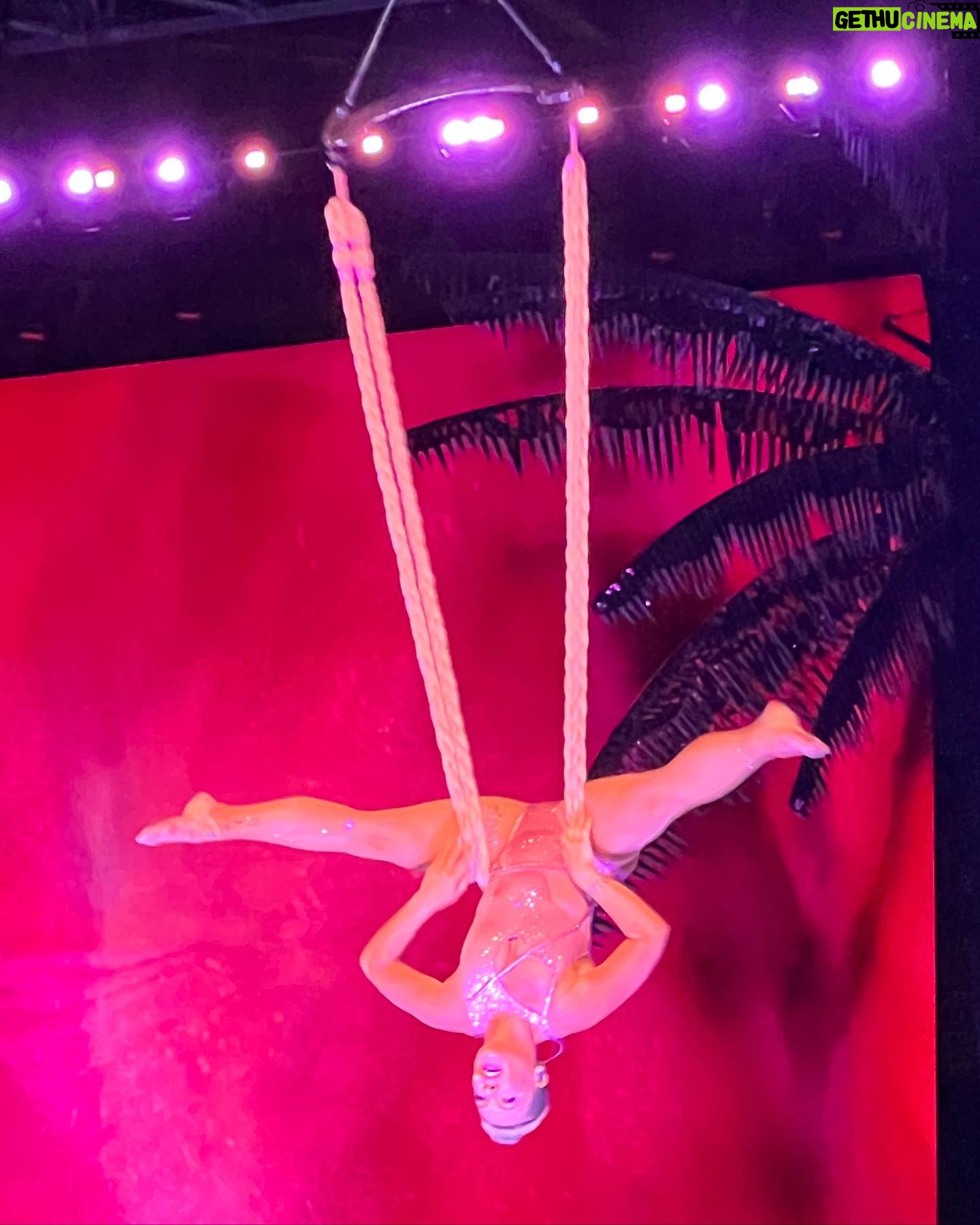Courtney Kemp Agboh Instagram - Oh my Lord @pink was just amazing last night. Soaring through the air upside down, singing her heart out, reminding us to love the imperfect versions of ourselves… and then she brought out @alanis and they sang “You Oughta Know” together and my inner teenager from CT exploded into a blur of Doc Martens, flannel and joy and for a minute they made 1990-1994 okay and not something I have to heal from but something I fucking survived. Live music with real artists can do that. AI can’t. Just sayin’. Thanks to @pink @alanis @benatargiraldo for the unbelievable music and dance we witnessed tonight.