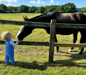 Cressida Bonas Instagram - The boy and the horse… I’m not sure what these two were chatting about, but it looked important 🤔💙✨