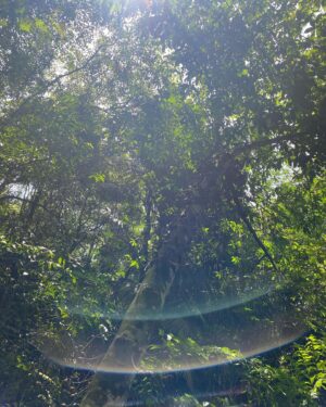 Cristina Suzanne Instagram - Leave nothing but footprints, take nothing but memories. Awwww 🥹 🏃🏻‍♀️🥾🌳

#ilovehiking
#ilovebigtrees