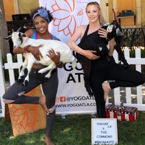 Cynthia Kirchner Instagram - Goat Yoga🧘‍♀️🐐 @yogoatla #YoGoatLa